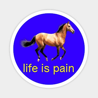 Life is Pain (horse) Magnet